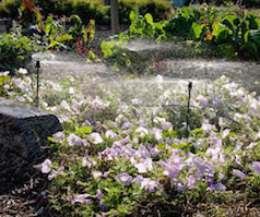 Micro Spray