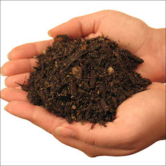 Soil